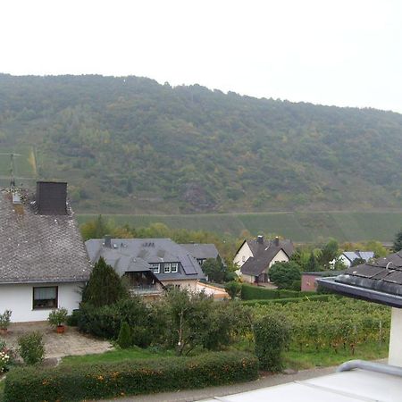 Pension Kroth An Der Mosel ブリーデル エクステリア 写真