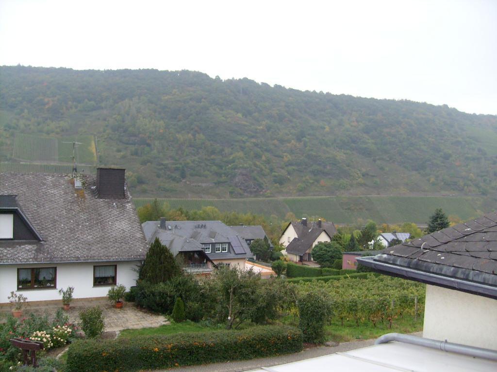 Pension Kroth An Der Mosel ブリーデル エクステリア 写真